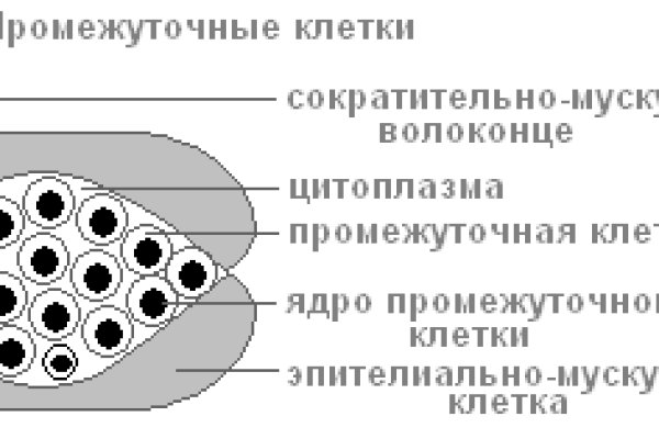 Войти в кракен вход магазин