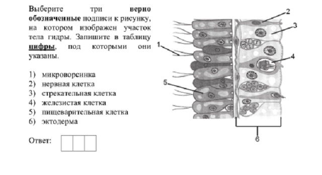 Кракен ссылка kraken