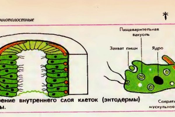 Кракен вход krakens13 at