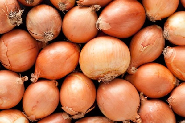 Кракен не приходят деньги